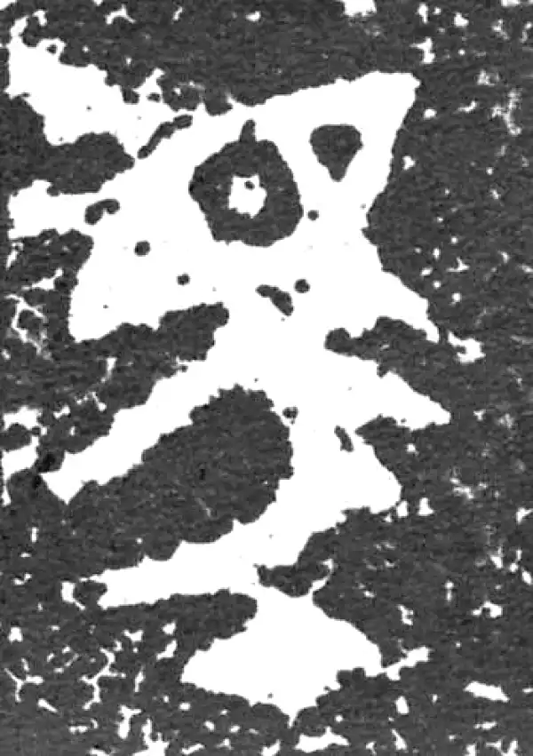 金文·大盂鼎铭文·馬