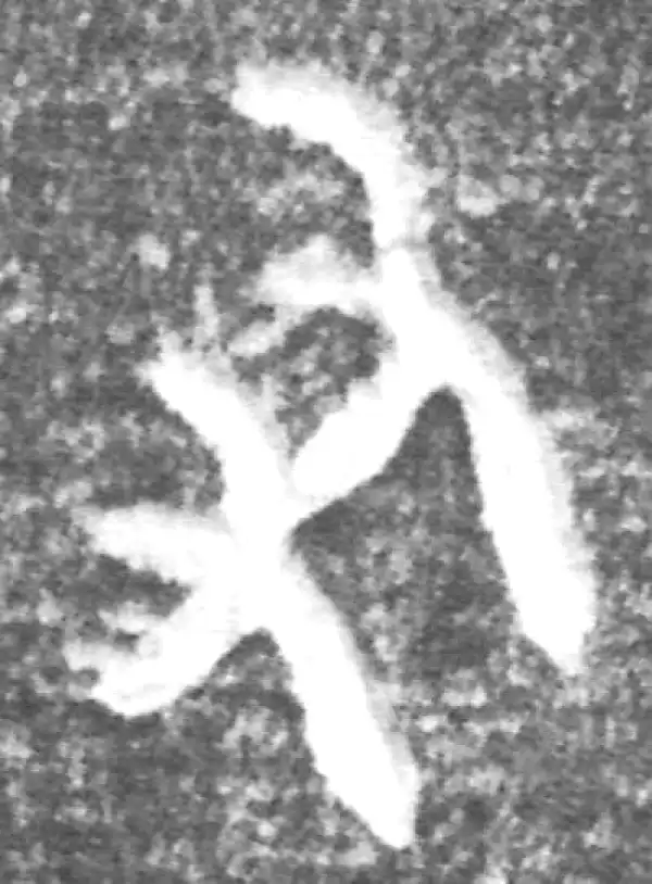 金文·(冬戈)方鼎甲·友