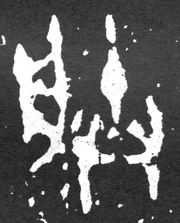 金文·毛公鼎铭文·朕