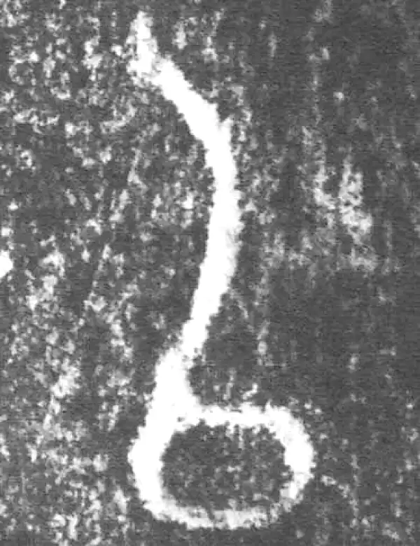 金文·朕匜器·以