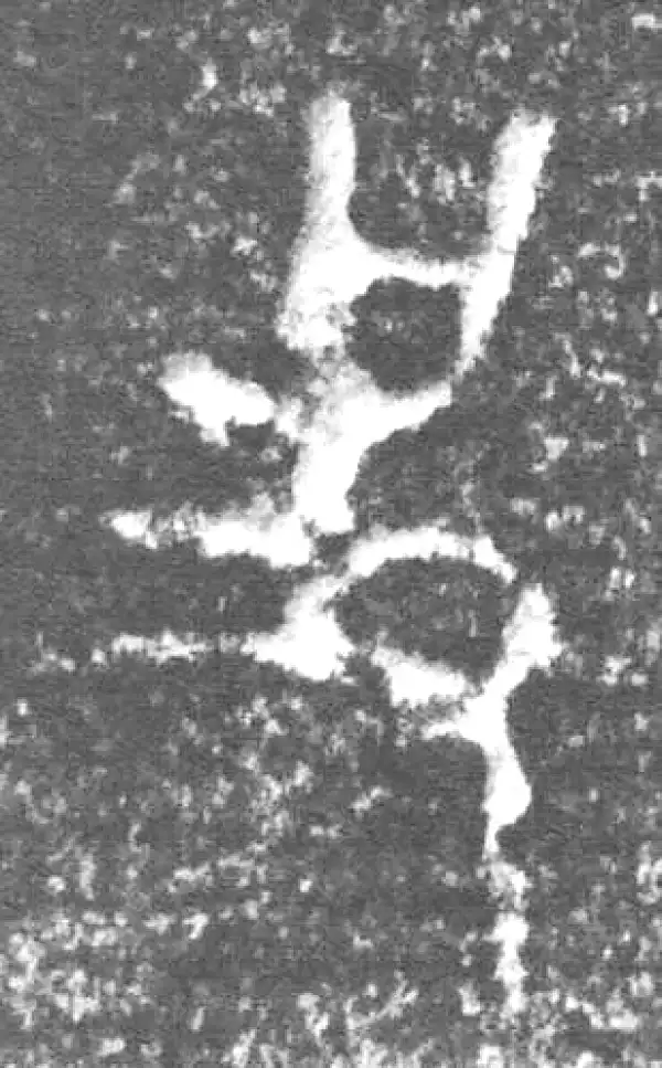 金文·四十三年逨鼎·史