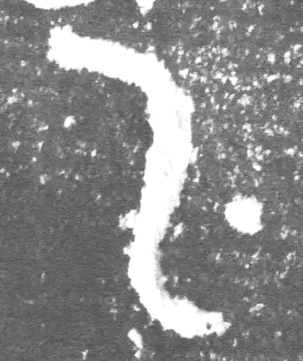 金文·此簋卒·乙