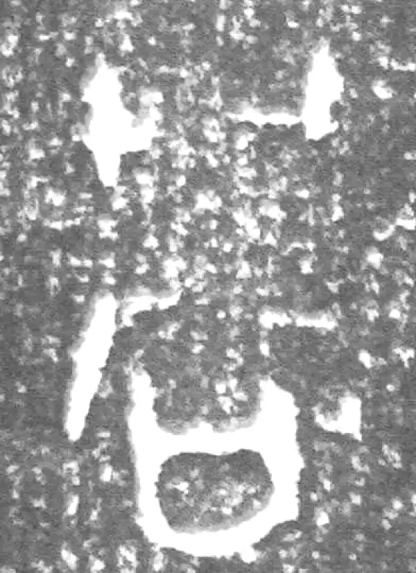 金文·四十二年逑鼎乙·周