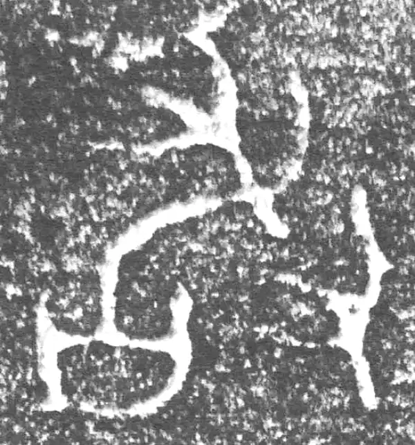 金文·四十三年逨鼎·敢