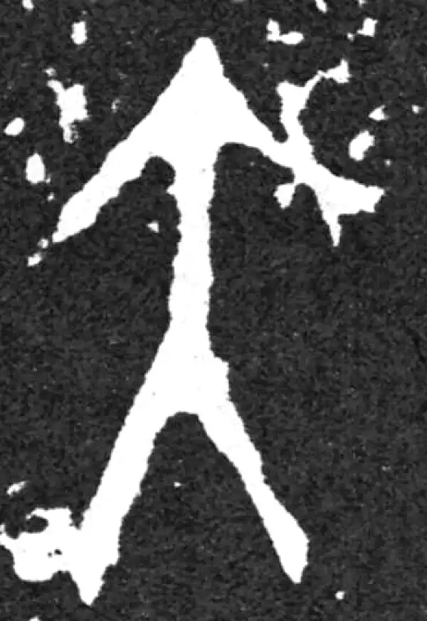 金文·毛公鼎铭文·大