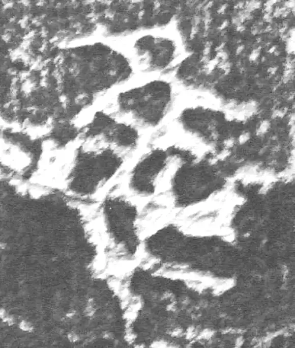 金文·四十二年逑鼎乙·唯