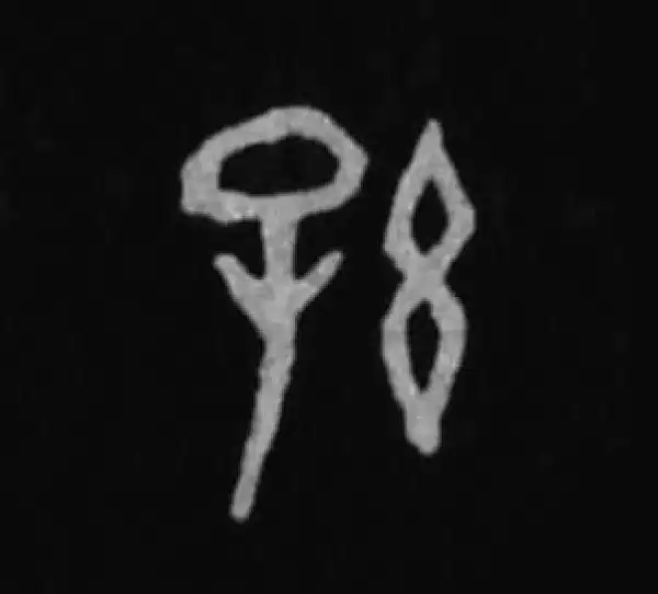 殷墟甲骨文·孙