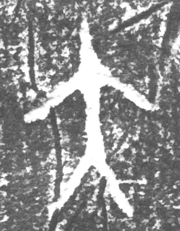 金文·四十二年逑鼎乙·大