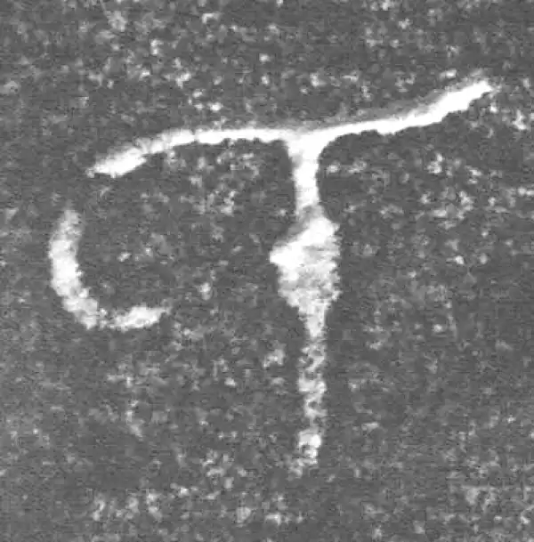 金文·四十三年逨鼎·氏