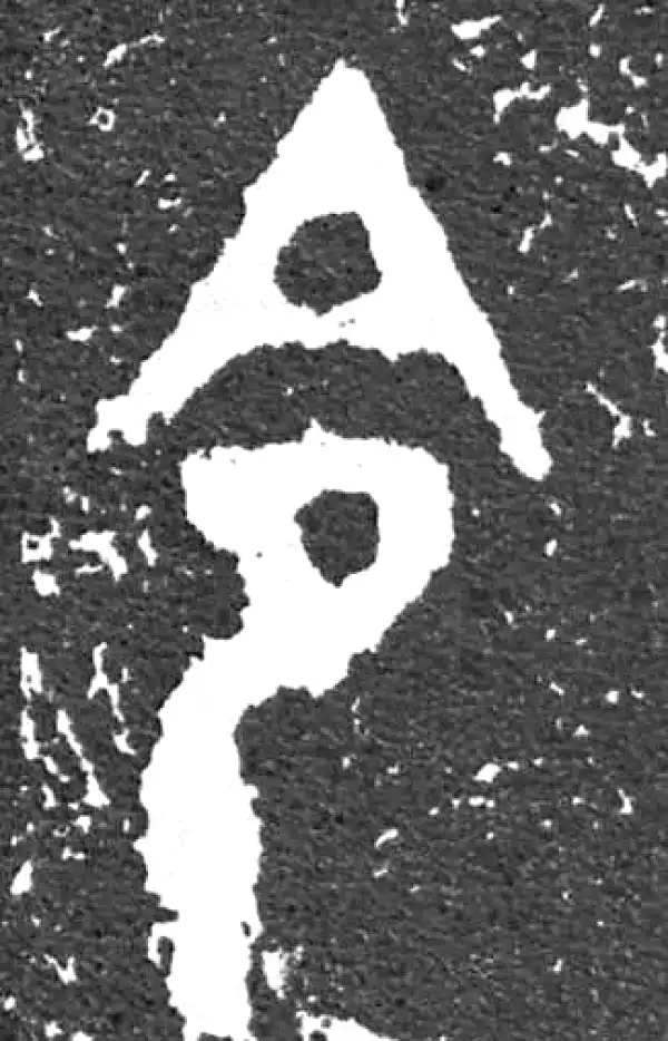 金文·大盂鼎铭文·命