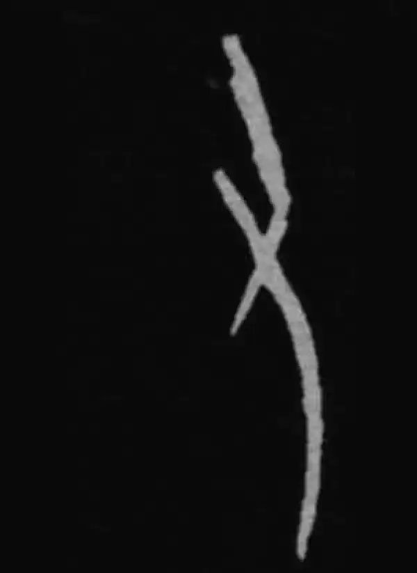 殷墟甲骨文·右