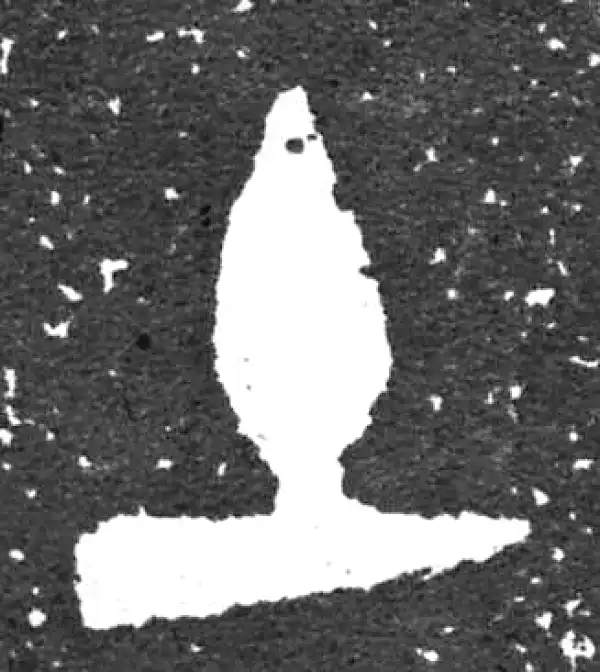 金文·大盂鼎铭文·土