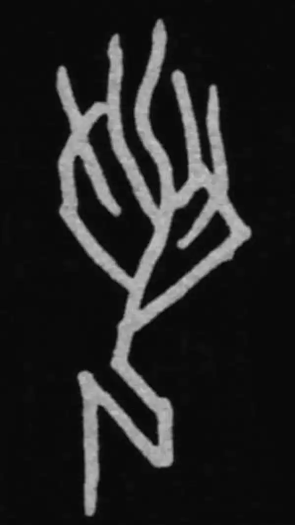 殷墟甲骨文·若