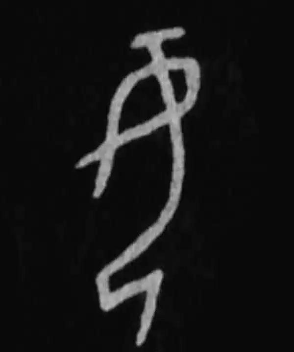 殷墟甲骨文·母