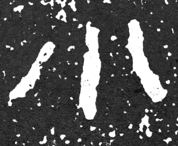 金文·散氏盘铭文·小