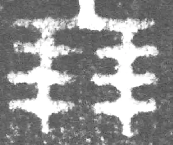 金文·丕指方鼎·朋