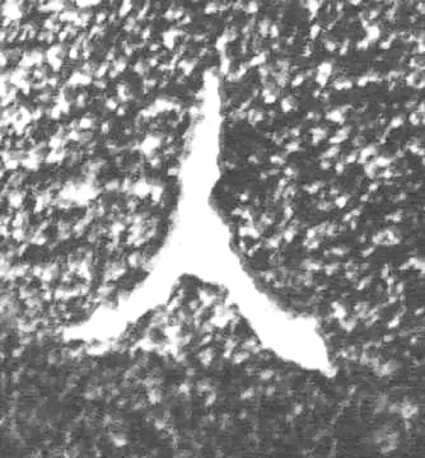 金文·四十三年逨鼎·人