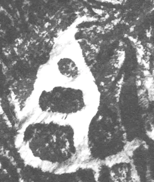 金文·四十二年逑鼎乙·天