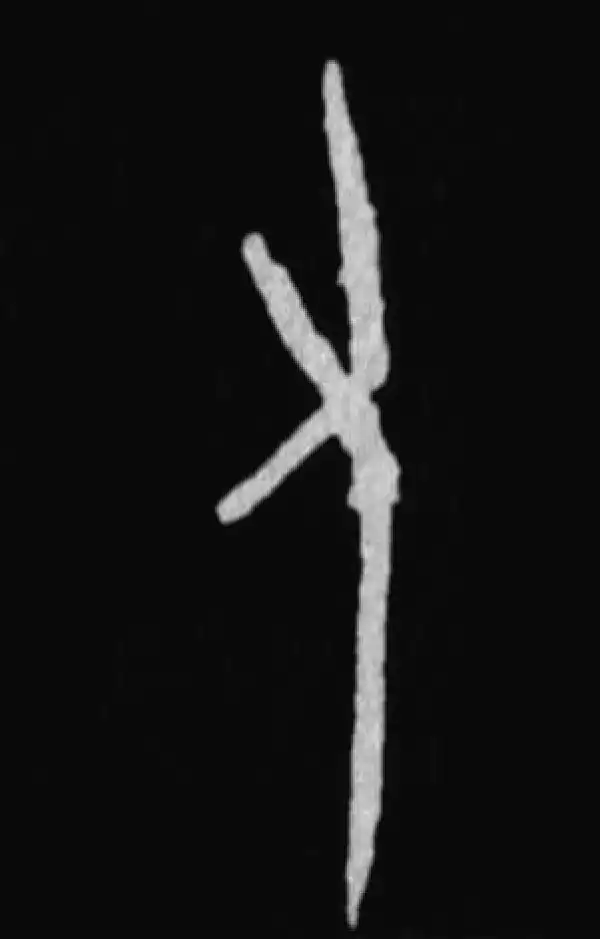 殷墟甲骨文·又