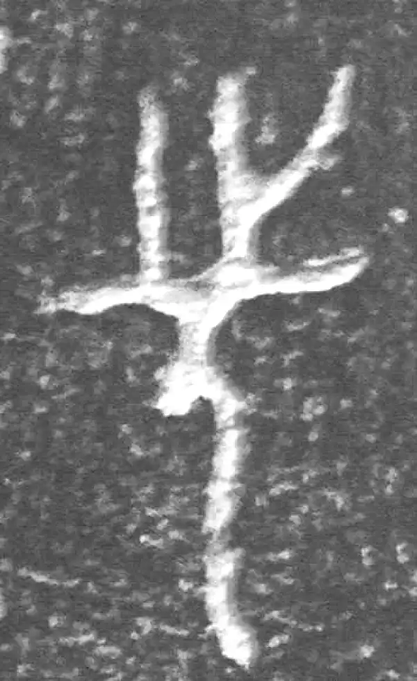 金文·四十二年逑鼎乙·先