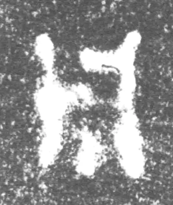 金文·旅仲簋·用