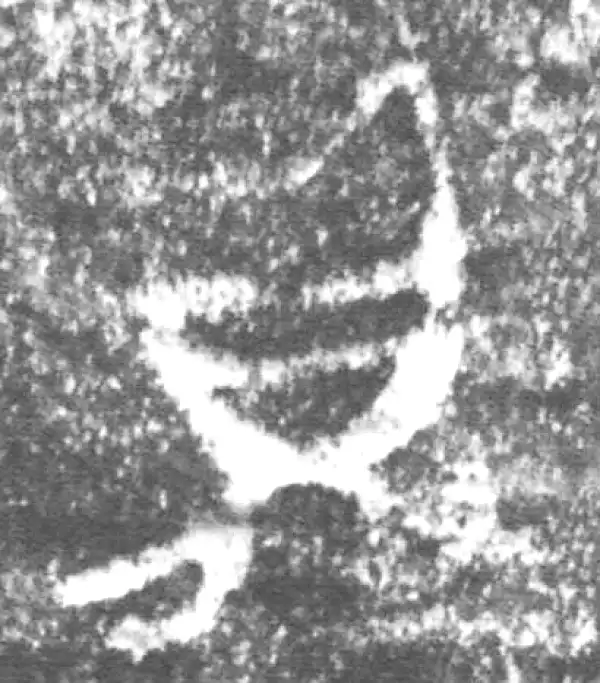 金文·伯辛父鼎·鼎