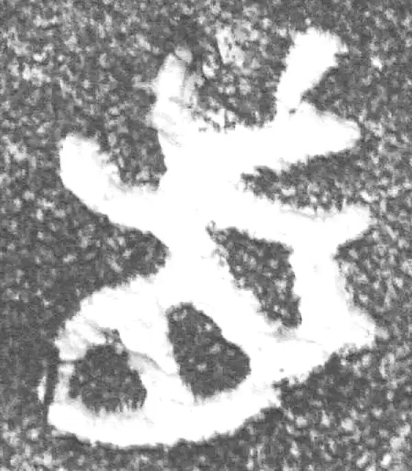 金文·(冬戈)簋·首