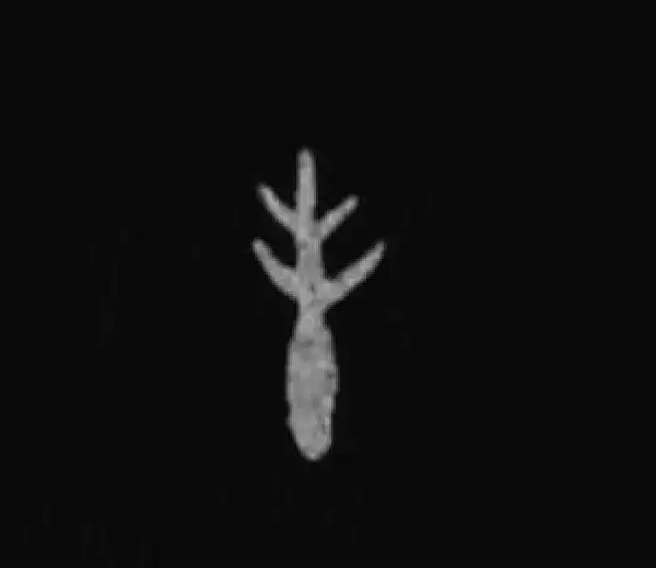 殷墟甲骨文·丰