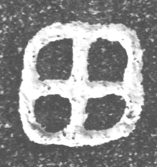 金文·裘卫盉·田