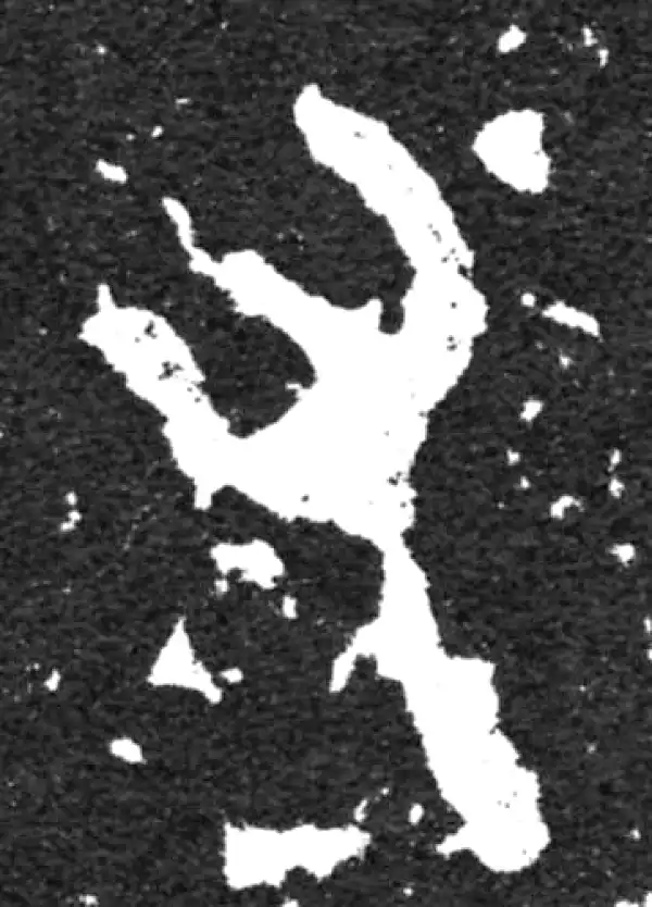 金文·毛公鼎铭文·又