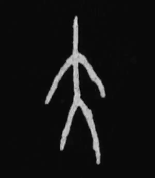 殷墟甲骨文·大