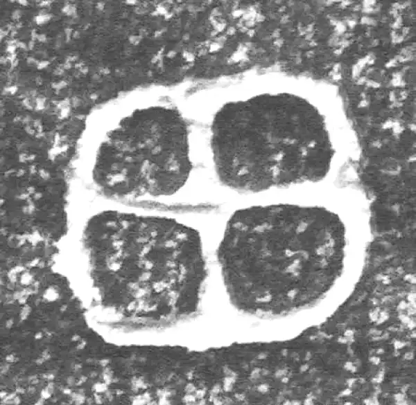 金文·四十二年逑鼎乙·田