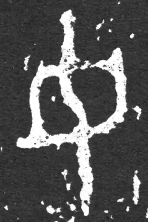 金文·毛公鼎铭文·女