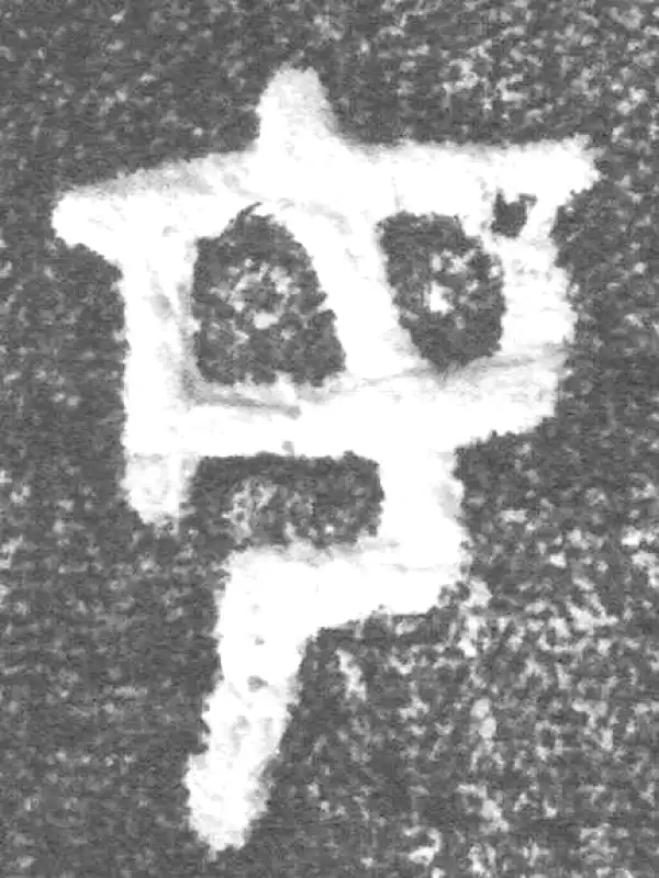 金文·(冬戈)簋·母