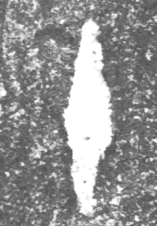 金文·裘卫盉·十