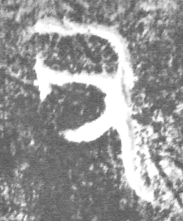 金文·朕匜器·父