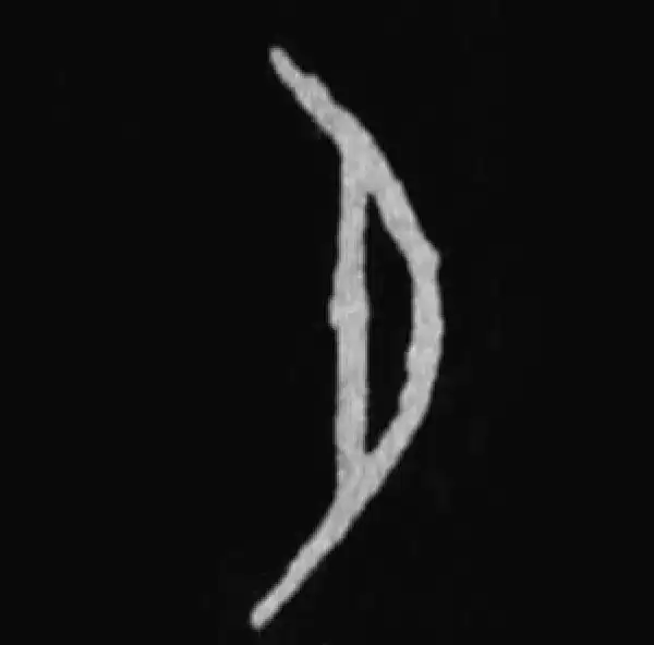 殷墟甲骨文·月