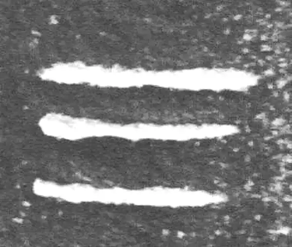 金文·裘卫簋·三