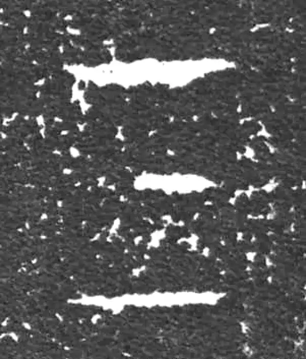 金文·大盂鼎铭文·三