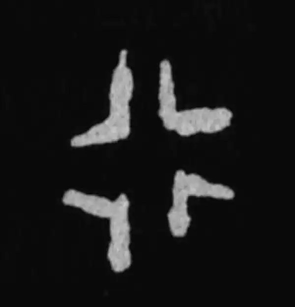 殷墟甲骨文·行