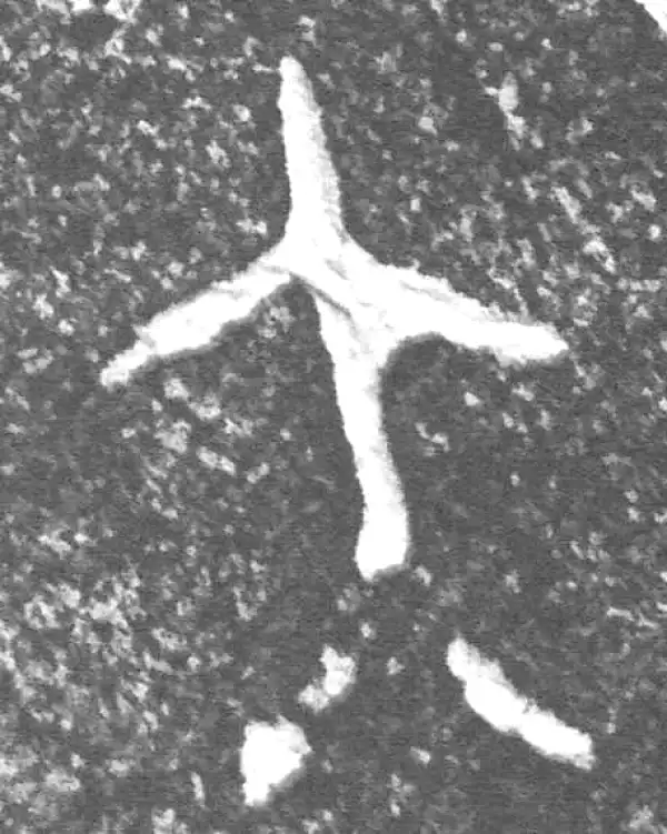 金文·四十二年逑鼎乙·大