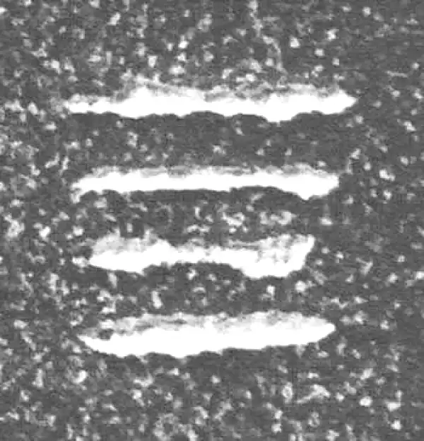 金文·四十三年逨鼎·四