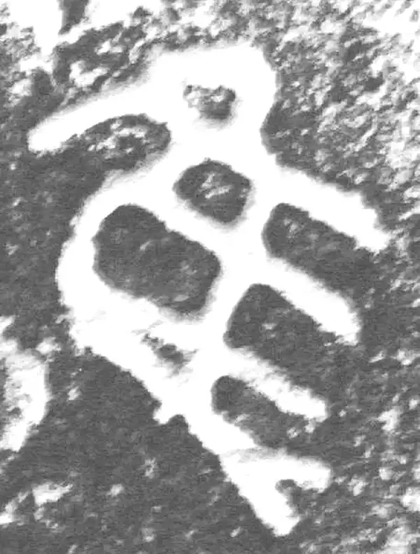 金文·九年卫鼎·隹