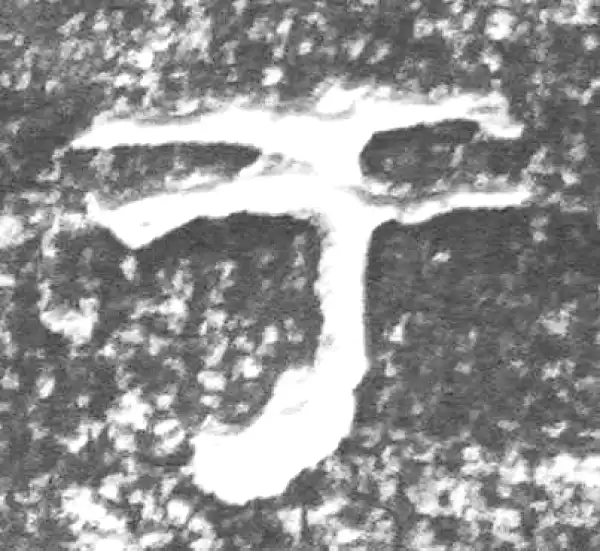 金文·四十二年逑鼎乙·于