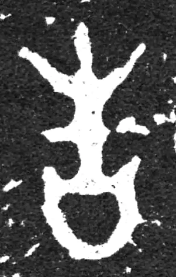 金文·毛公鼎铭文·告