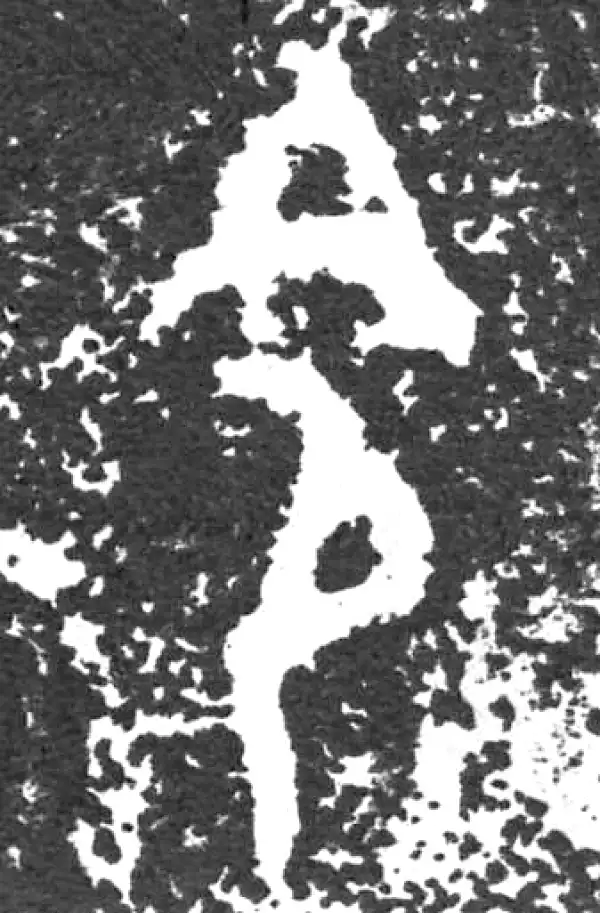 金文·大盂鼎铭文·命