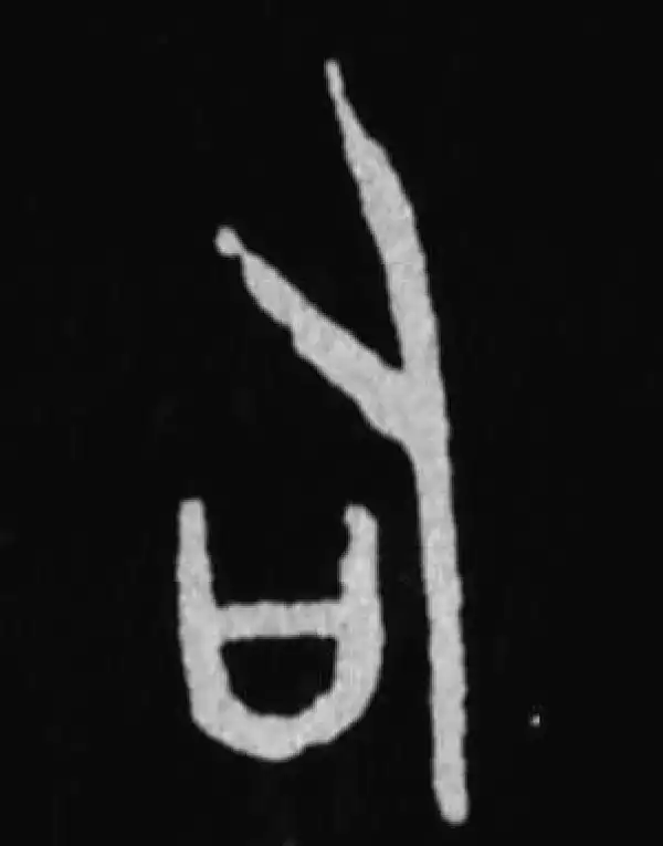 殷墟甲骨文·司