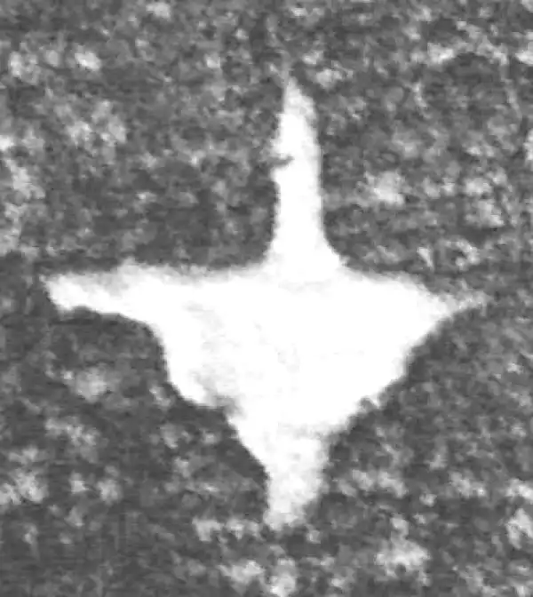 金文·(冬戈)方鼎甲·才