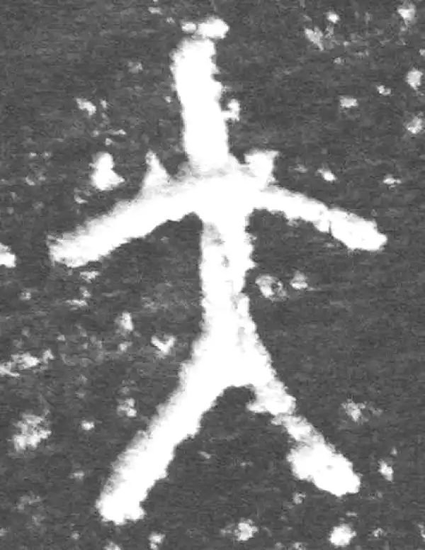 金文·九年卫鼎·大