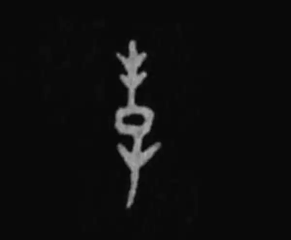 殷墟甲骨文·孝